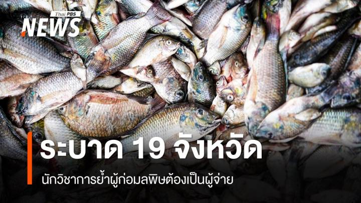 ปลาหมอคางดำระบาด 19 จังหวัด นักวิชาการแนะประเมินมูลค่า เรียกร้องเยียวยา