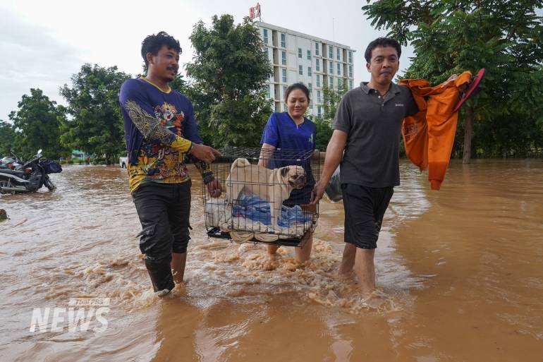 ขนย้ายสัตว์เลี้ยงหนีน้ำท่วมในจังหวัดแพร่ 