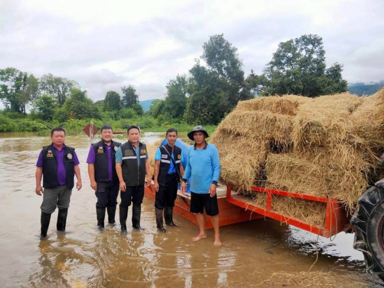 ภาพ : กรมปศุสัตว์ กระทรวงเกษตรและสหกรณ์