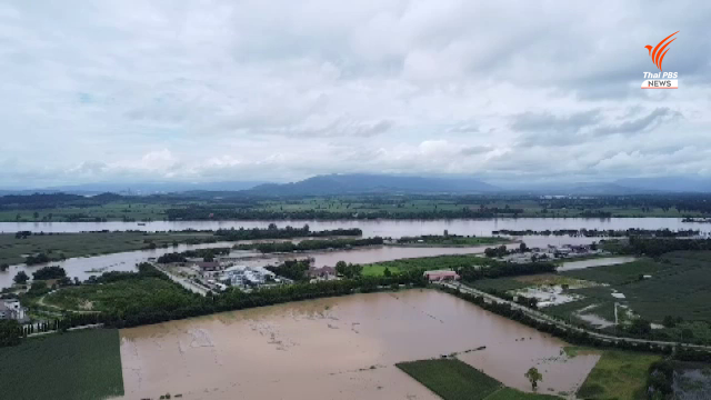 พื้นที่นาข้าวเสียหายกว่า 50,000 ไร่ หลังฝนตกหนักน้ำท่วมขัง