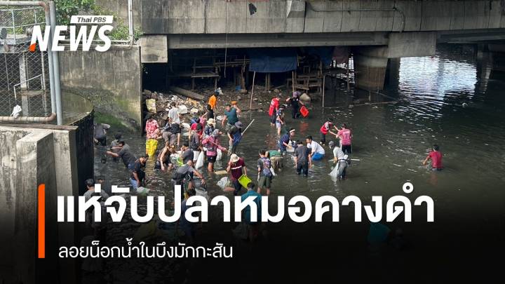 ชาวบ้านนับร้อย แห่จับ "ปลาหมอคางดำ-ปลานิล" บึงมักกะสัน