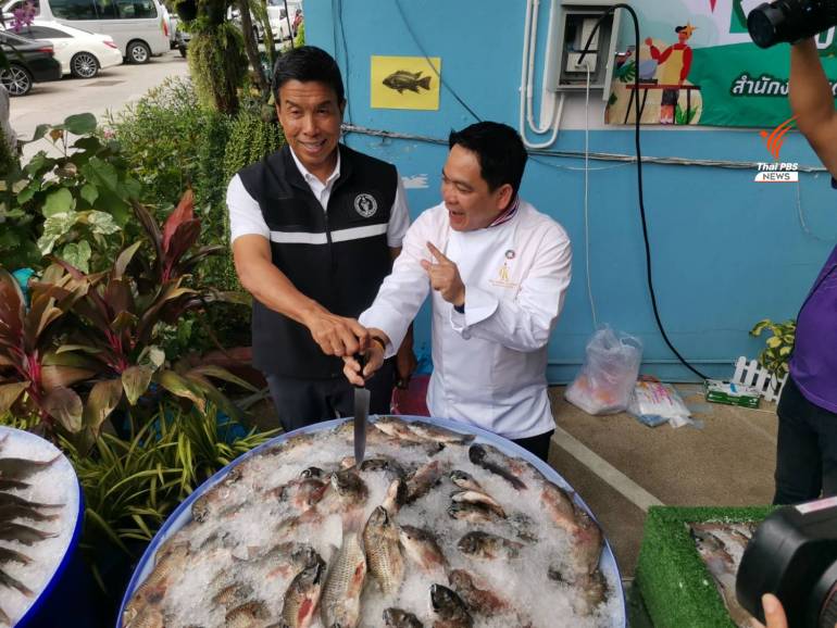 ชัชชาติ สิทธิพันธ์ุ ผู้ว่าฯกทม. เปิดกิจกรรม BKK FOOD BANK นำเชฟชื่อดัง นายชุมพล แจ้งไพร มาร่วมปรุงเมนูจากปลาหมอคางดำ ปรุงอาหารแจกจ่ายให้กลุ่มเปราะบาง