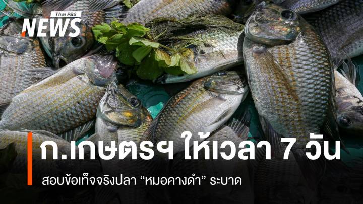 ปลัดเกษตรฯให้เวลา 7 วัน สอบข้อเท็จจริง "ปลาหมอคางดำ" ระบาด