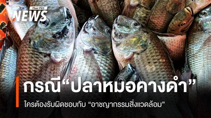 “ปลาหมอคางดำ” ใครพลาดอะไร ใครต้องรับผิดชอบ