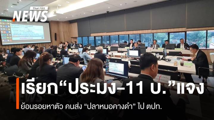 กมธ.เรียก "กรมประมง-11 บริษัท" ส่งออก "ปลาหมอคางดำ" แจง