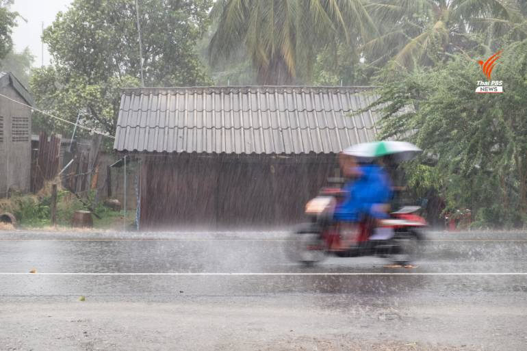 ฝนตก