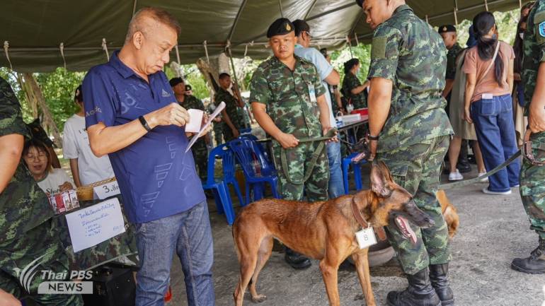 เจ้าของใหม่ โคดี้ เป็น รอง ผกก.กลางดง เผยแค่ตั้งใจไปดูงานประมูลเท่านั้น แต่เมื่อพบแรกเห็นจึงถูกชะตา พากลับบ้าน