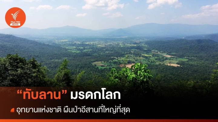 "ทับลาน" มรดกโลก อุทยานแห่งชาติผืนป่าอีสานที่ใหญ่ที่สุด