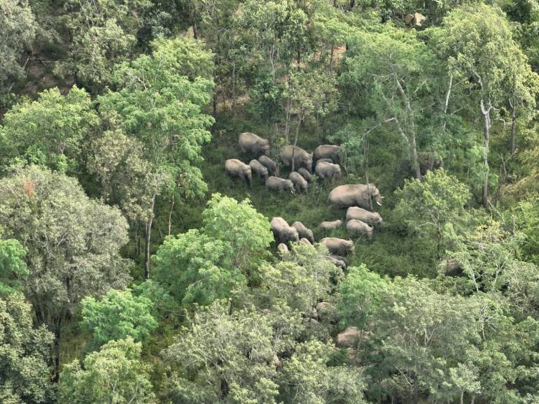 อุทยานแห่งชาติทับลาน Thap Lan National Park