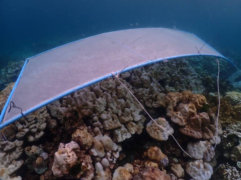 ทช.ทดลองติดตั้งสแลนลดแสง (Shading) พื้นที่แนวปะการังฟอกขาวเกาะกา จ.กระบี่ 