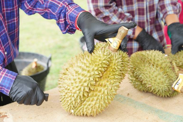 ทุเรียนไทย