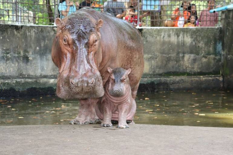 ภาพ : สวนสมเด็จพระศรีนครินทร์ ศรีสะเกษ