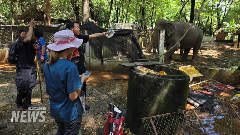 ขอบคุณภาพจากเพจ : ศูนย์อนุรักษ์ช้างไทย