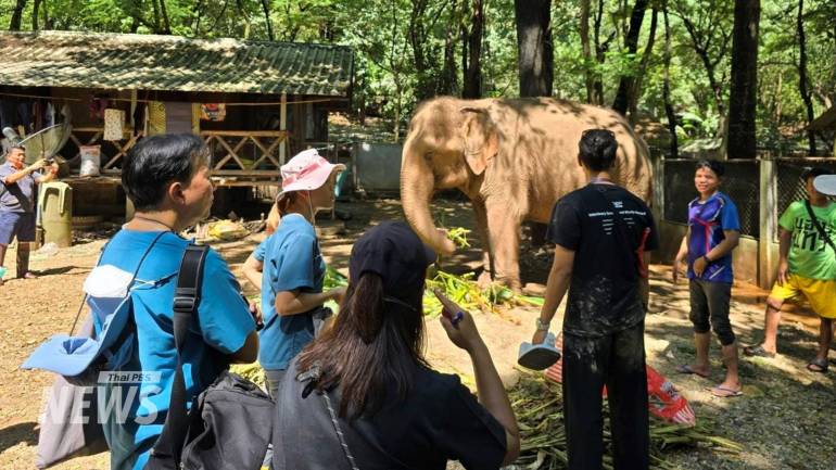 ขอบคุณภาพจากเพจ : ศูนย์อนุรักษ์ช้างไทย