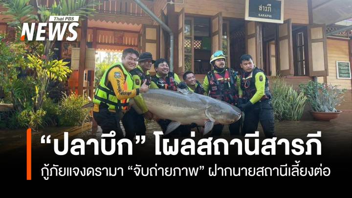 กู้ภัยแจงดรามา "ปลาบึก" โผล่สถานีรถไฟสารภี ยังไม่รู้ชะตากรรม  