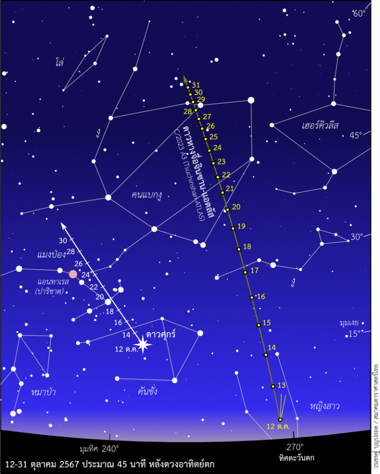 ภาพจาก : สมาคมดาราศาสตร์ไทย  แผนที่แสดงตำแหน่งดาวหางจื่อจินซาน-แอตลัสเทียบกับดาวฤกษ์ระหว่างวันที่ 12–31 ตุลาคม 2567 เวลาประมาณ 45 นาที หลังดวงอาทิตย์ตก