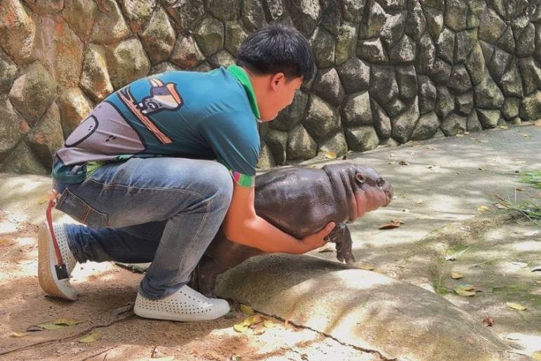 ซุปตาร์สาวกับผู้จัดการส่วนตัวของเธอ ที่มา : ขาหมู แอนด์เดอะแก๊ง