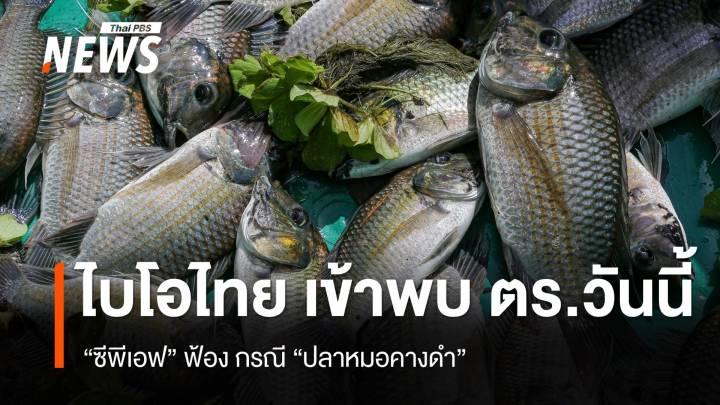 วันนี้ "ไบโอไทย" เข้าพบ ตร.คดี "CPF" ฟ้องกรณีปลาหมอคางดำ 