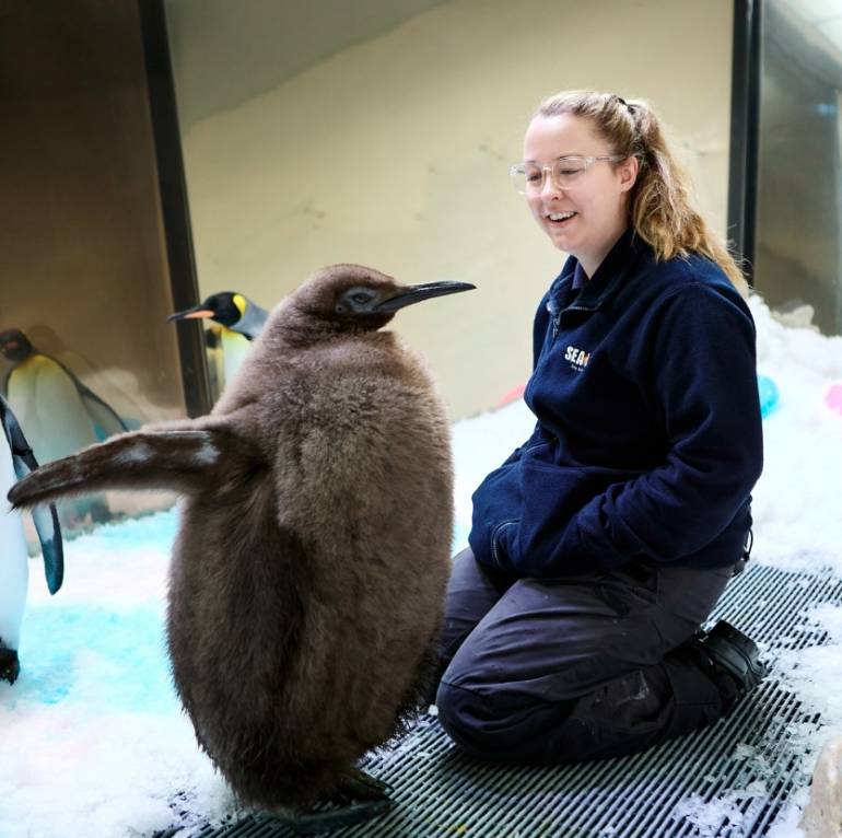 กินปลาอีกนิด เพสโต้จะโตแซงนุดเลย Credit : Sea Life Melbourne