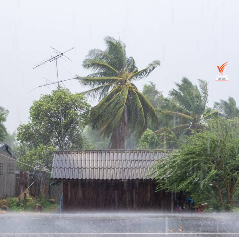 ฝนตก