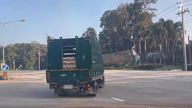 รถเคลื่อนย้ายมีนา เดินทางถึงศูนย์อนุรักษ์ช้างไทย ลำปาง