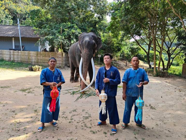 พลายศักดิ์สุรินทร์ ช้างไทยกลับถึงแผ่นดินเกิดในรอบ 22 ปี รักษาอาการบาดเจ็บและจิตใจที่ศูนย์อนุรักษ์ช้างไทย จ.ลำปาง