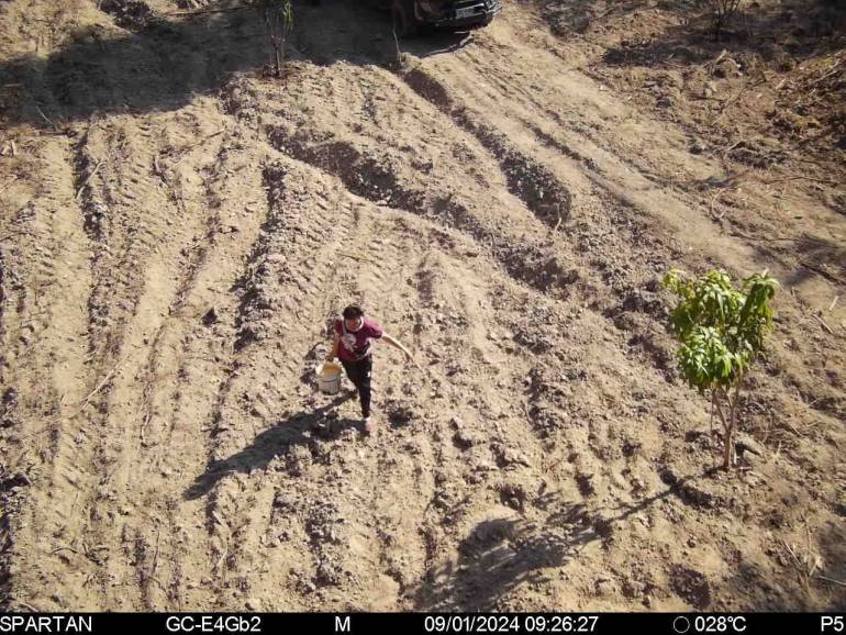 ภาพจากกล้อง NCAPS พบกลุ่มบุคคล 5 คน เข้ามาในพื้นที่เพื่อรดต้นมะม่วง อ้างพื้นที่ส.ป.ก.