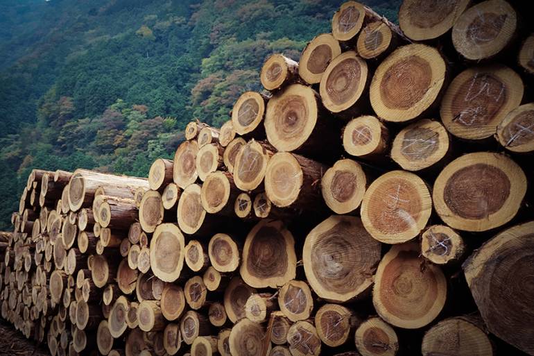 อียู ออกกฎหมายว่าด้วยสินค้าที่ปลอดจากการตัดไม้ทำลายป่า หรือ EUDR (EU Deforestation Regulation) 