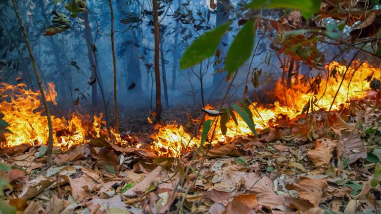 ภาพประกอบข่าว : ไฟไหม้ป่า