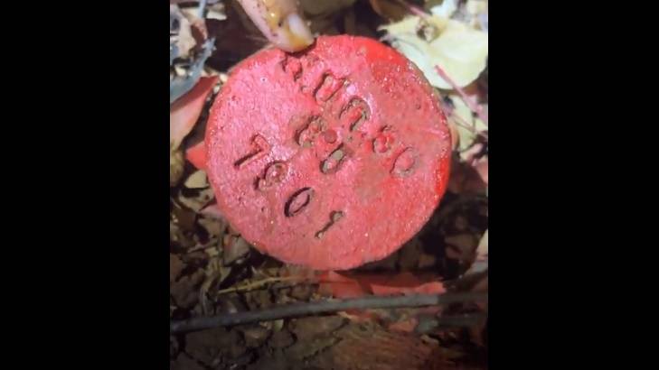 หลักหมุดส.ป.ก.4-01 ซึ่งพบในแนวสวนป่าปางอโศก ในต.กลางดง อ.ปากช่อง จ.นครราชสีมา 