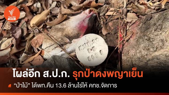 แปลงใหม่! หมุด ส.ป.ก.โผล่ "ป่าสงวนดงพญาเย็น"