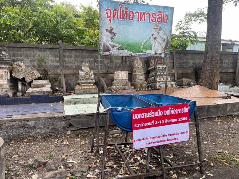 เทศบาลเมืองพัทลุง เตรียมทำหมันลิงขอความร่วมมืองดให้อาหาร 