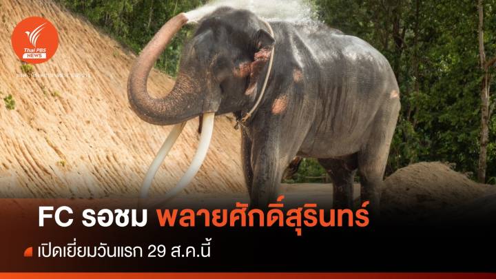 เตรียมตัว! 29 ส.ค.นี้ เปิดให้ FC เยี่ยมพลายศักดิ์สุรินทร์