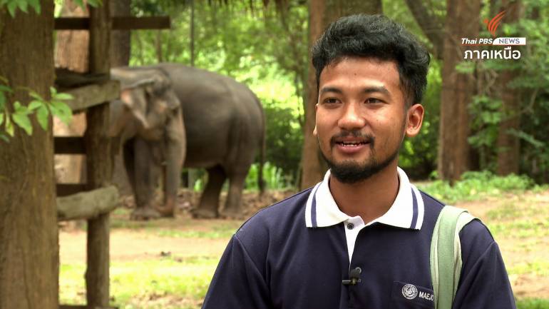 ชาญชัย ท่องพนาศรี ควาญช้าง ชาวปกาเกอะญอ