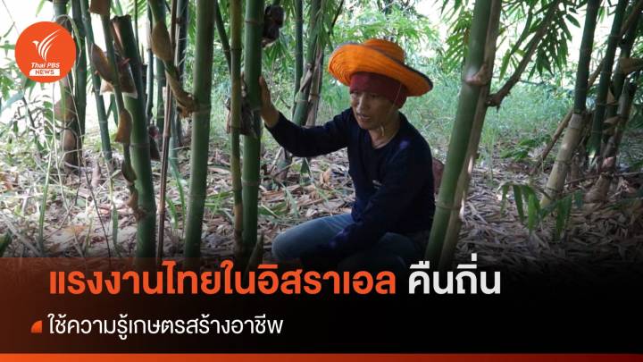 แรงงานไทยในอิสราเอลคืนถิ่น ใช้ความรู้เกษตรสร้างอาชีพ