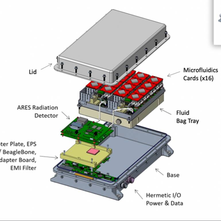 Structure of LEIA Chip