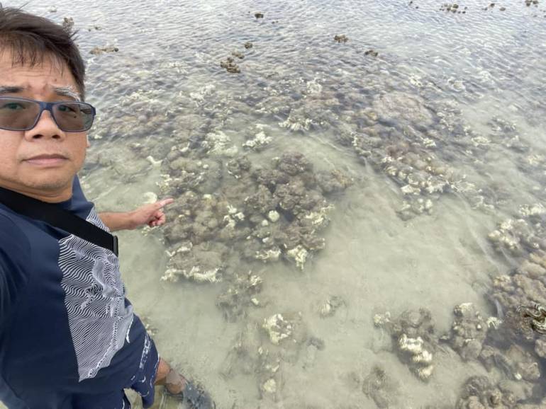 อาจารย์ธรณ์ ระบุโลกร้อนทำให้ปะการังอ่อนแอ ฟอกขาวในฝั่งทะเลอ่าวไทย 