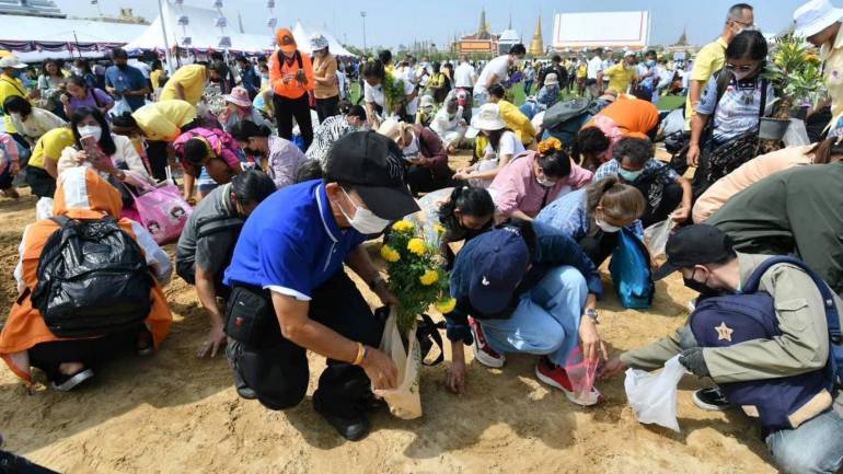 ประชาชนแห่เก็บพันธุ์ข้าวพืชมงคล หลังเสร็จสิ้นพระราชพิธีจรดพระนังคัลแรกนาขวัญ : ภาพ facebook พระลาน