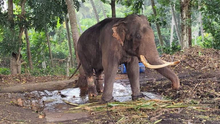 ภาพ : พลายประตูผาอยู่ในวัด ศรีลังกา