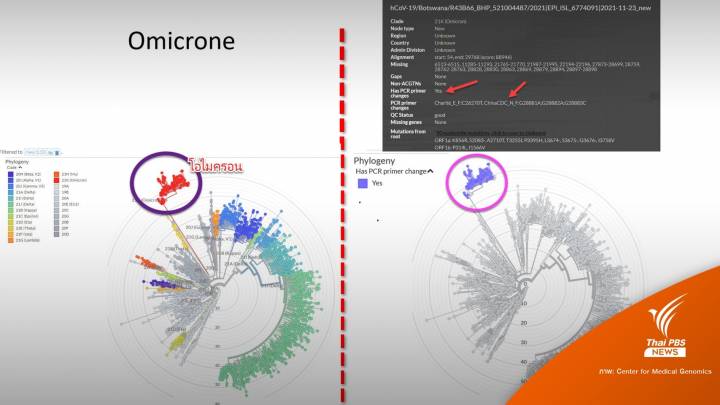 ศูนย์จีโนม เตือน PCR ไม่จับไวรัสกลายพันธุ์ "โอมิครอน"