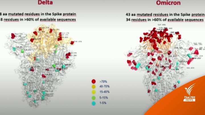 เปิดภาพไวรัสโควิด "โอมิครอน" โปรตีนหนามมากกว่าเดลตา