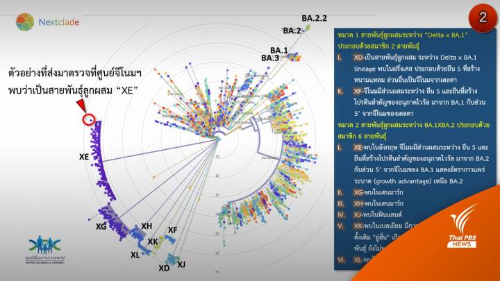 ไทยพบโอมิครอนลูกผสม "XE" แล้ว 1 คน