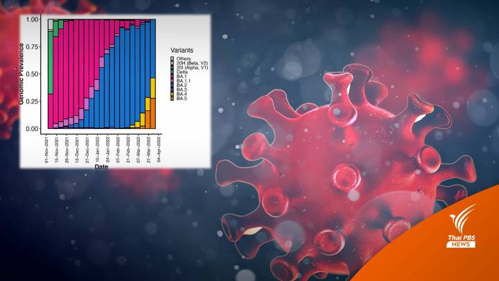 โอมิครอนน้องใหม่ "BA.4 - BA.5" แพร่เร็วในแอฟริกาใต้