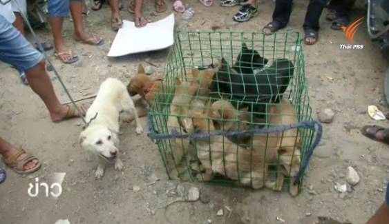 กลุ่มพิทักษ์สัตว์ในจีนต่อต้านการกินเนื้อสุนัข