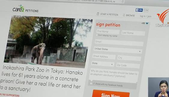 สังคมออนไลน์ญี่ปุ่นร้องสวนสัตว์อิโนะกาชิระ คืน “ช้างฮานาโกะ” ให้ประเทศไทย 