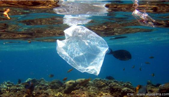 งานวิจัยเผยปี 2050 ปริมาณขยะพลาสติกมากกว่าจำนวนปลาในมหาสมุทรทั่วโลก 