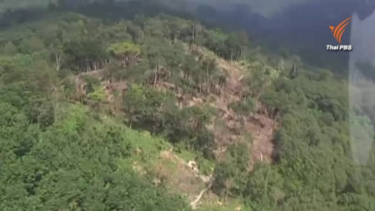 ผู้ว่าฯสั่งจนท.ยึดป่าคีรีวงที่บุกรุกอุทยานฯคืน บินตรวจพบเหี้ยนเป็นหย่อมกว่า 10 จุด