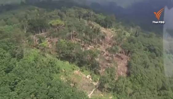 ผู้ว่าฯสั่งจนท.ยึดป่าคีรีวงที่บุกรุกอุทยานฯคืน บินตรวจพบเหี้ยนเป็นหย่อมกว่า 10 จุด