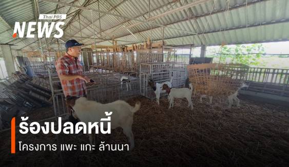 แพะ แกะ ล้านนา บทเรียนโครงการรัฐ ล้มเหลวเพราะเหตุใด?