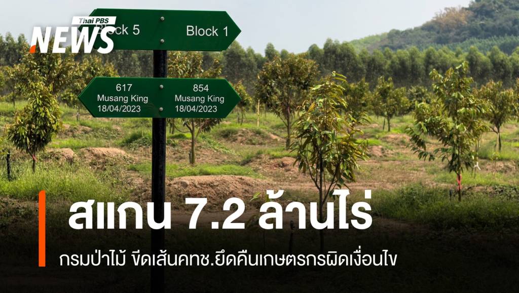 “เฉลิมชัย” สั่งสอบที่ดินคทช. 7.2 ล้านไร่ปมทุนจีนปลูกทุเรียน